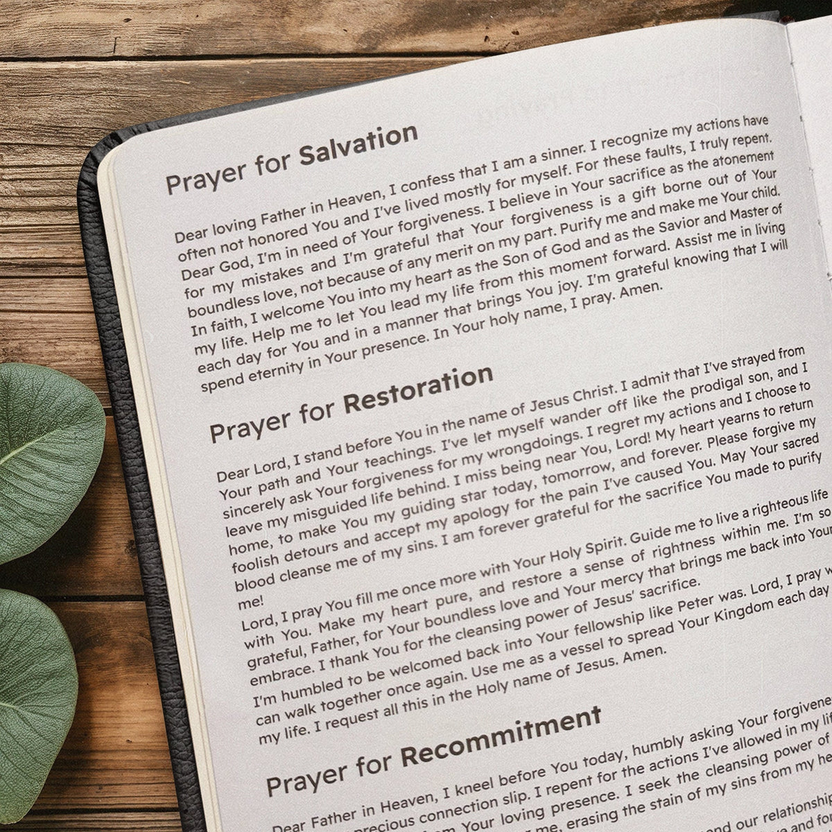 Pathway - Proverbs 3:6 Leather Prayer Journal