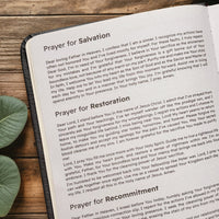 Pathway - Proverbs 3:6 Leather Prayer Journal