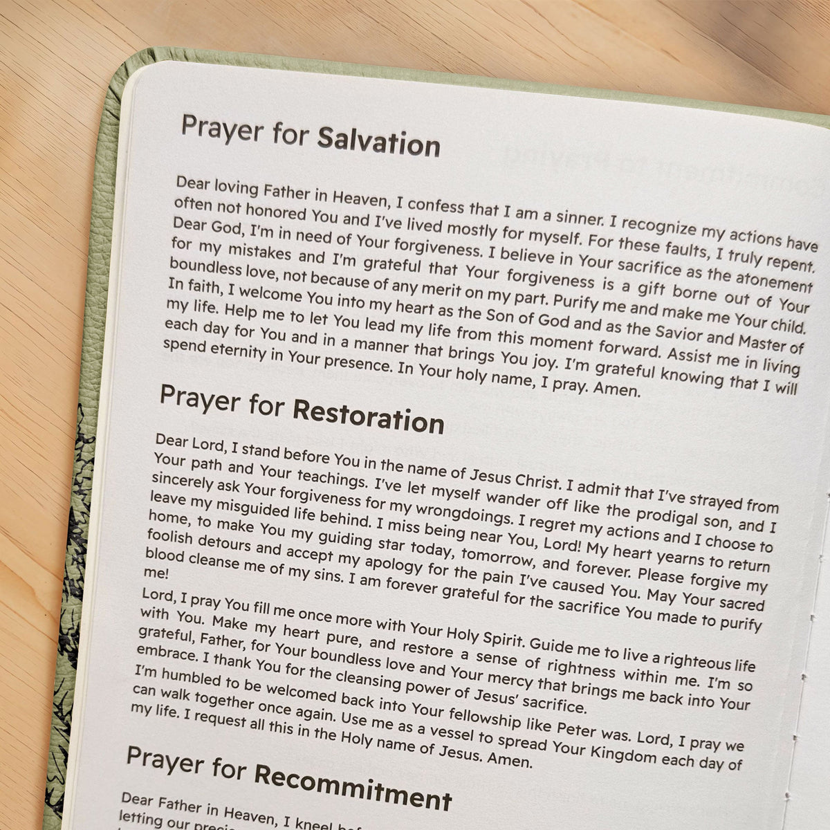 Soar - 1 Timothy 6:11 Leather Prayer Journal